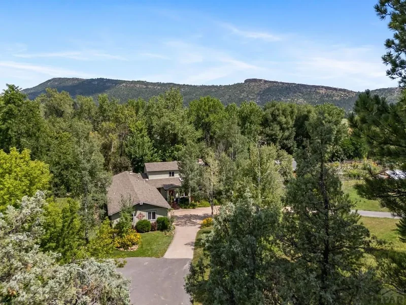 8695 Pine Dr, Beulah, CO 81023, Beulah Valley, Colorado, United States. - Photo 57