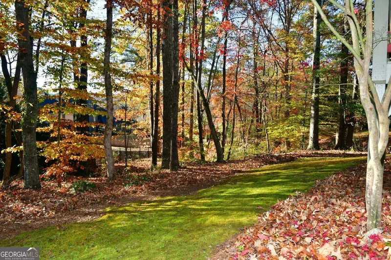 1767 Honey Tree Place, Hoschton, GA 30548, Hoschton, Georgia, United States. - Photo 24