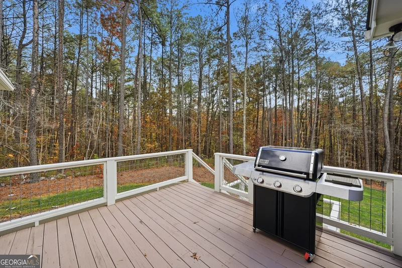 White, Georgia, United States. - Photo 47