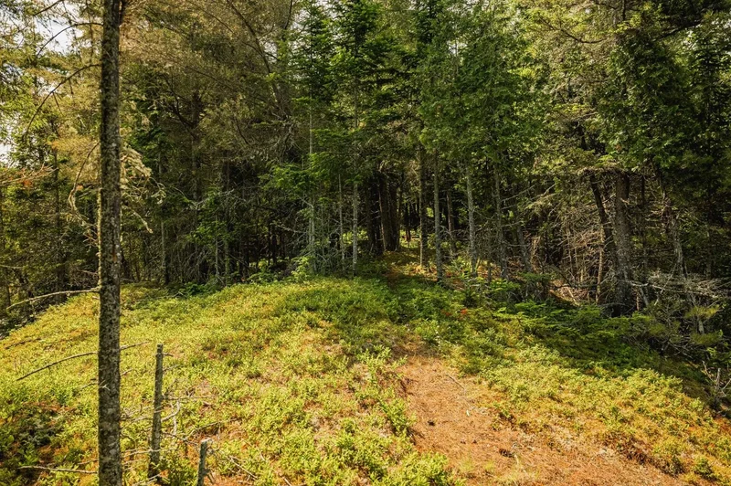 Lac-des-Plages, QC, J0T1K0, CANADA, Lac-des-Plages, Quebec, Canada. - Photo 22