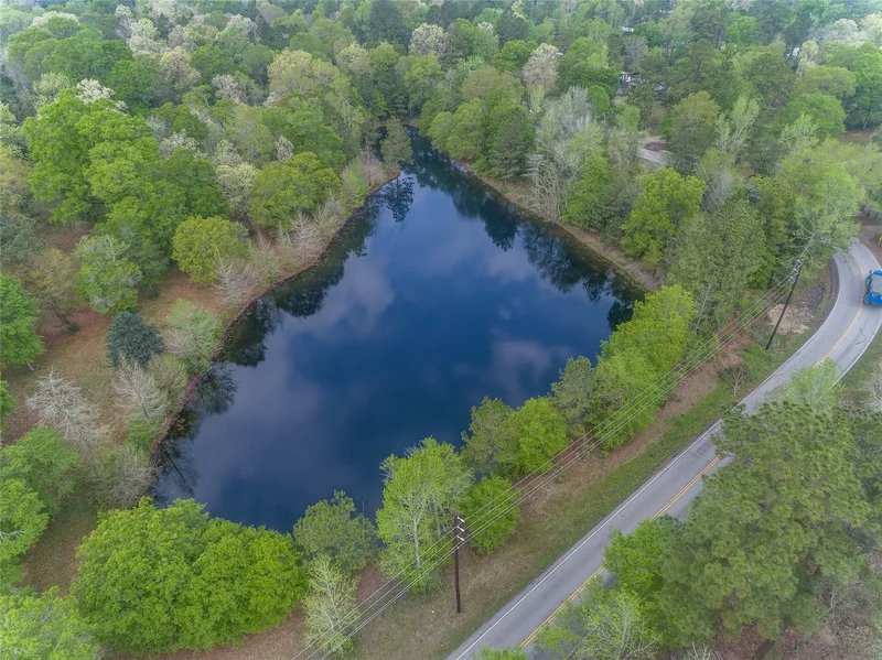 TBD Firetower Road, New Caney, TX 77357, New Caney, Texas, United States. - Photo 19