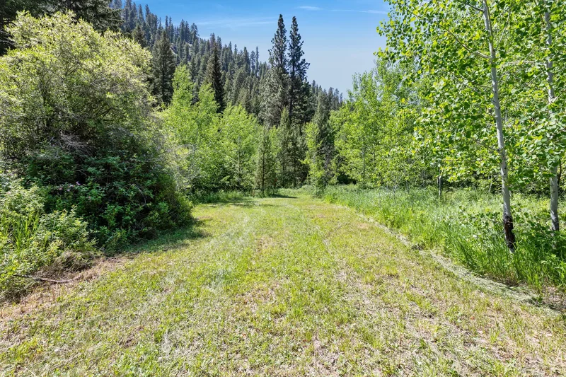 NHN East Fork Road, Sula, MT 59871, Sula, Montana, United States. - Photo 30