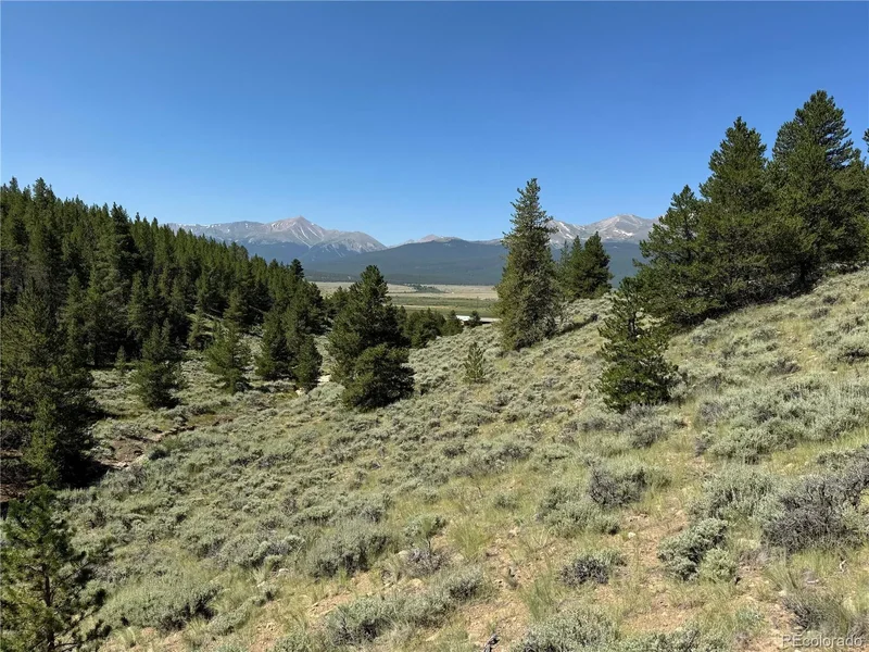 12340 Us Highway 24, Leadville, CO 80461, 80461, Colorado, United States. - Photo 14