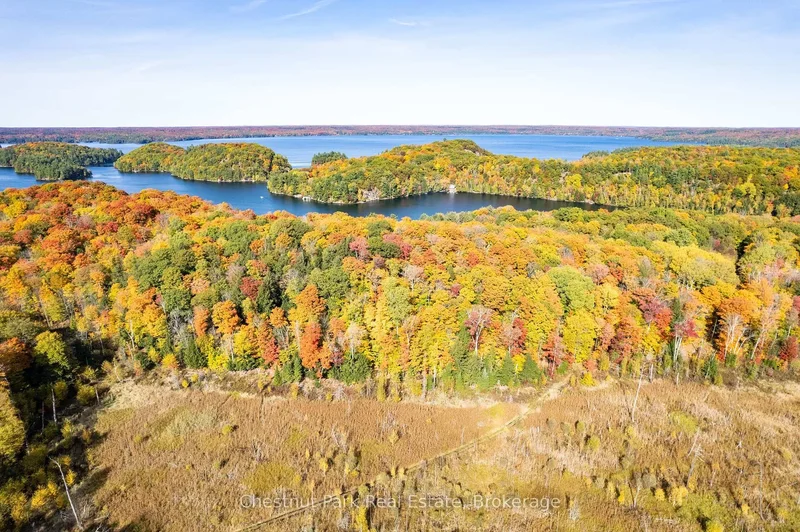 1037 Skeleton Lake 3 Road, Windermere, Ontario, Canada. - Photo 32
