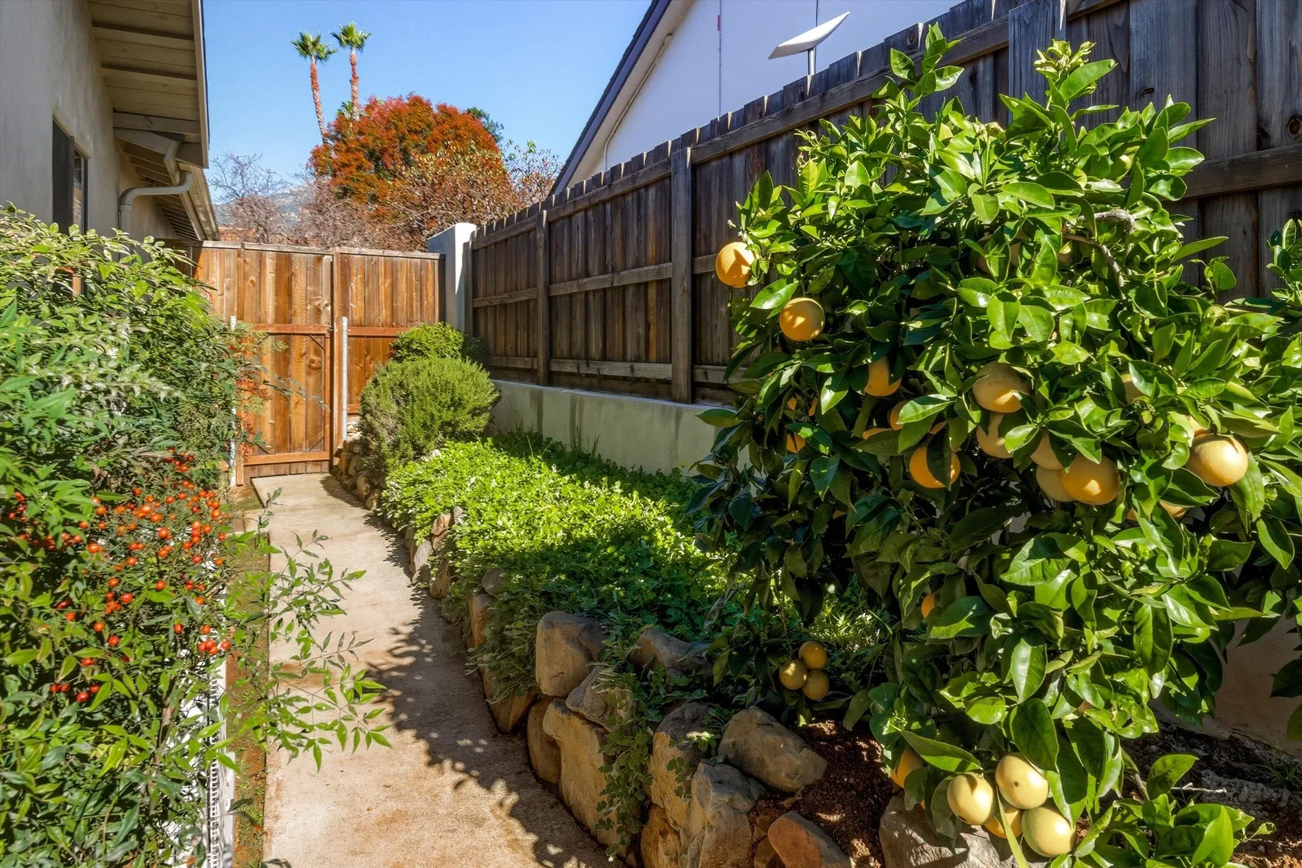 3706 Lincolnwood Drive, Santa Barbara, California, United States. - Photo 20