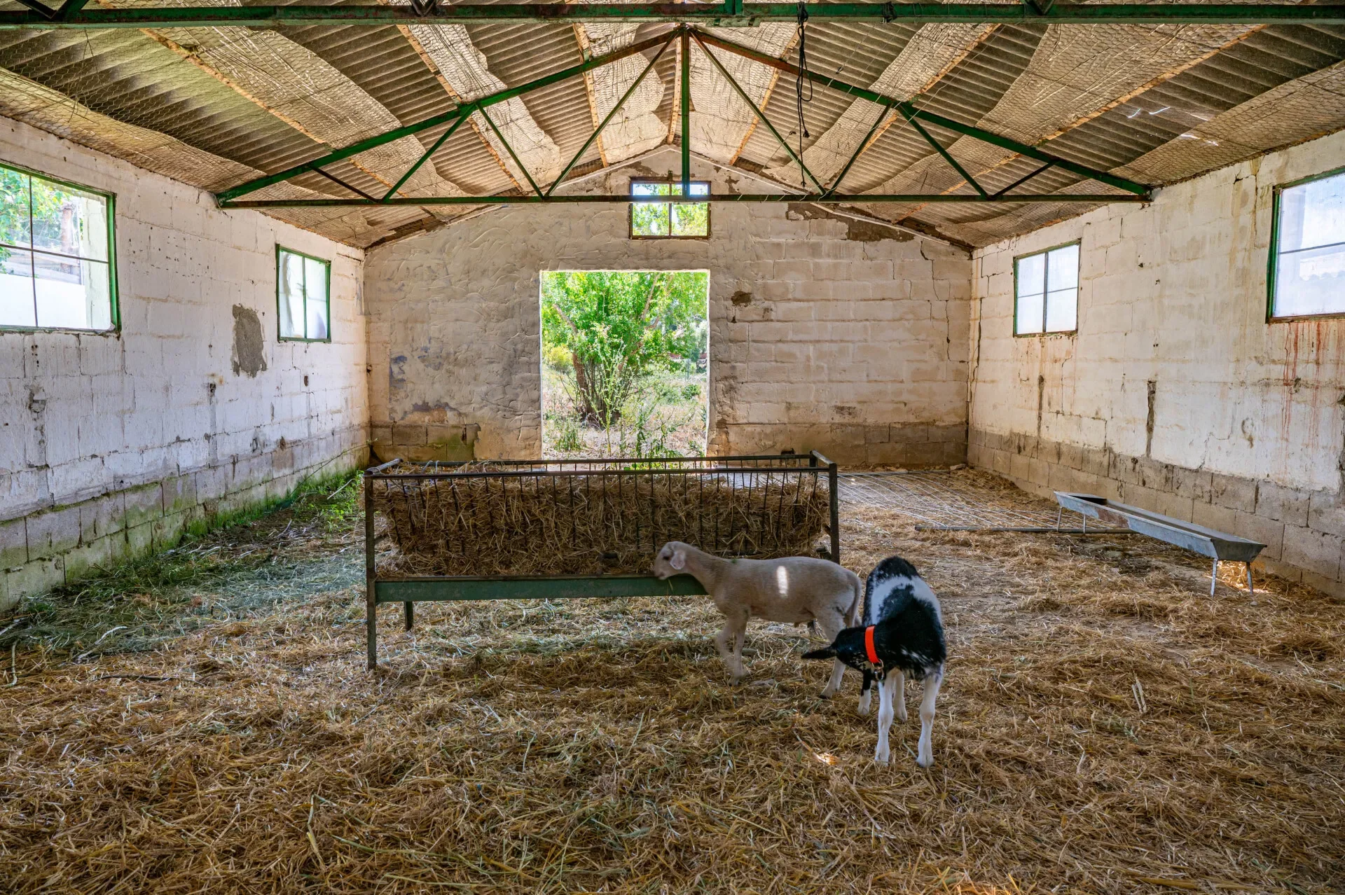 Property photo 10