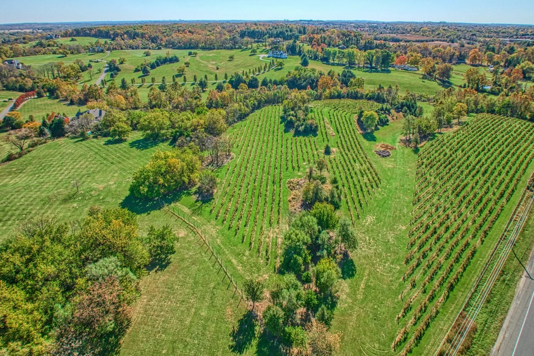17061 Spring Creek Lane , Leesburg, VA 20176, Leesburg, Virginia, United States. - Photo 74