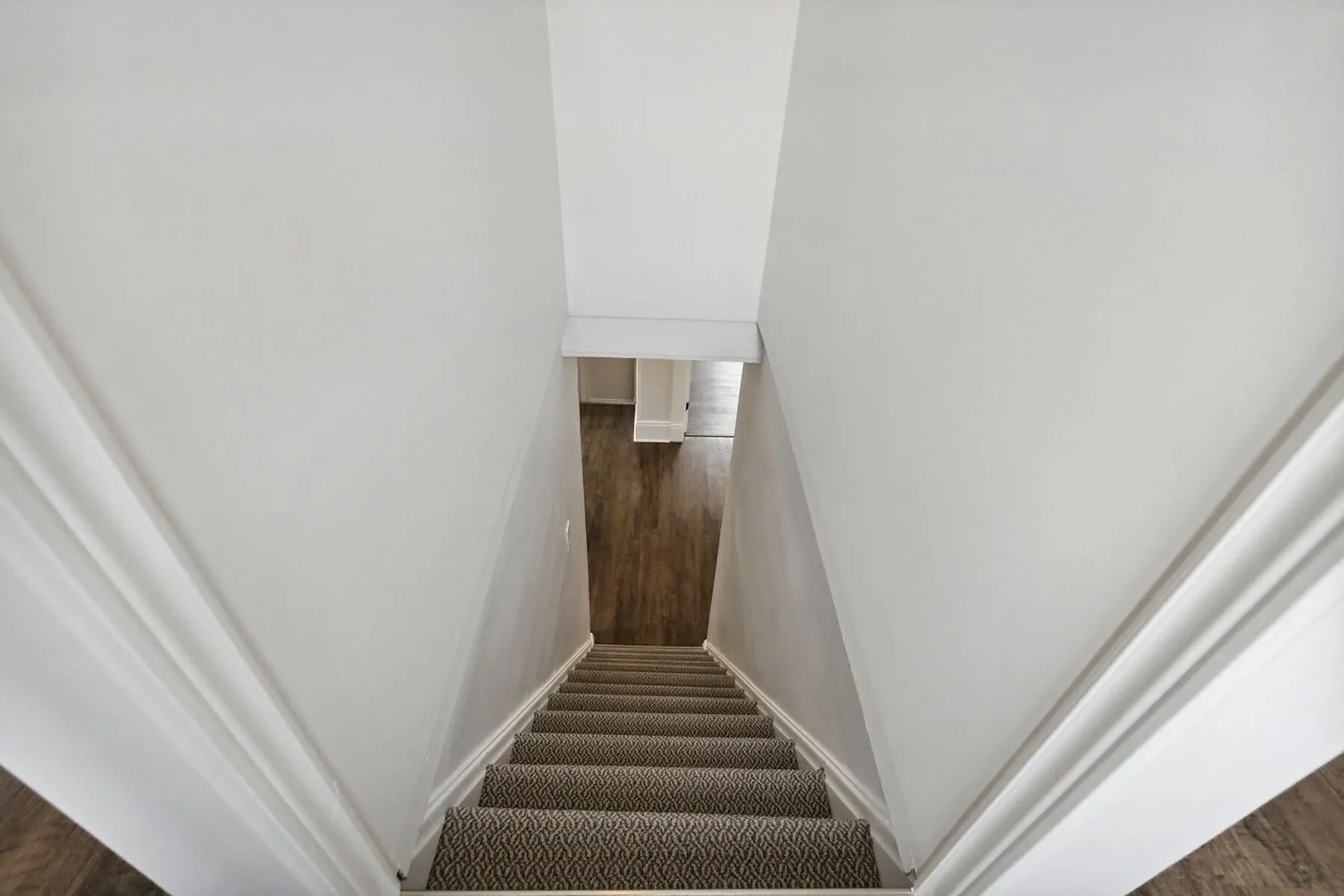 Gallery photo 11
