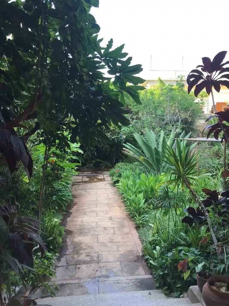 97000 Merida, Yucatan, Mexico, Mérida, Yucatan, Mexico. - Photo 22