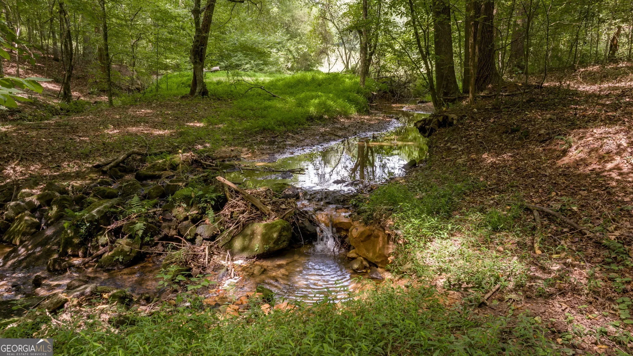 Lula, Georgia, United States. - Photo 78