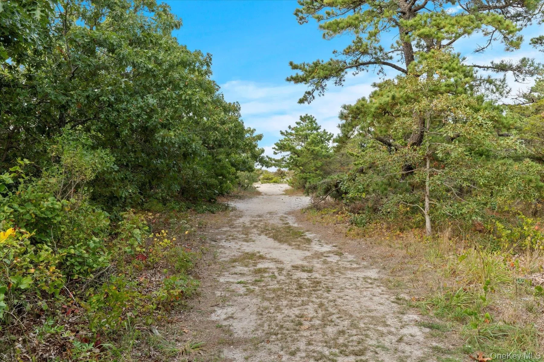 3630 Soundview Avenue, Southold, New York, United States. - Photo 29