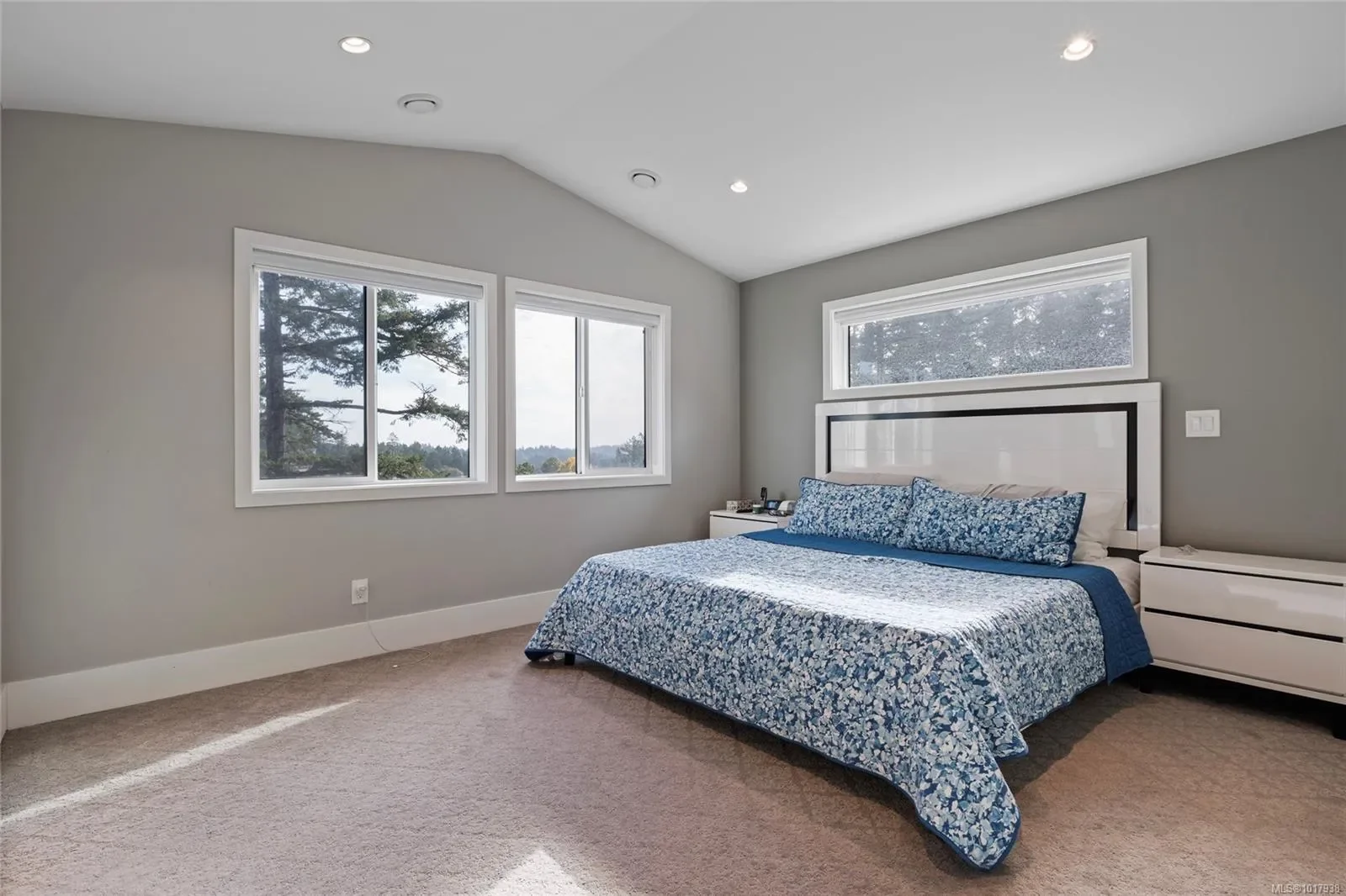 25 Tuzo Crt, View Royal, British Columbia, Canada. - Photo 1