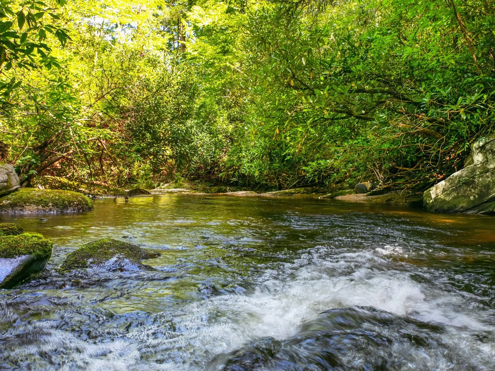 999 Robinson Creek, Glenville, NC, 28736, USA, 28736, North Carolina, United States. - Photo 22
