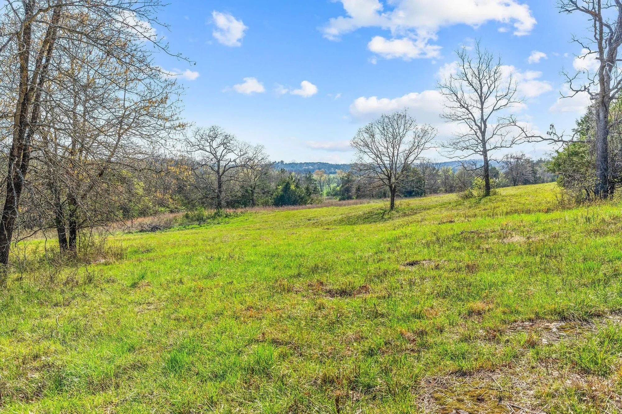 000 Tbd State Hwy J, Kirbyville, MO 65679, Kirbyville, Missouri, United States. - Photo 39