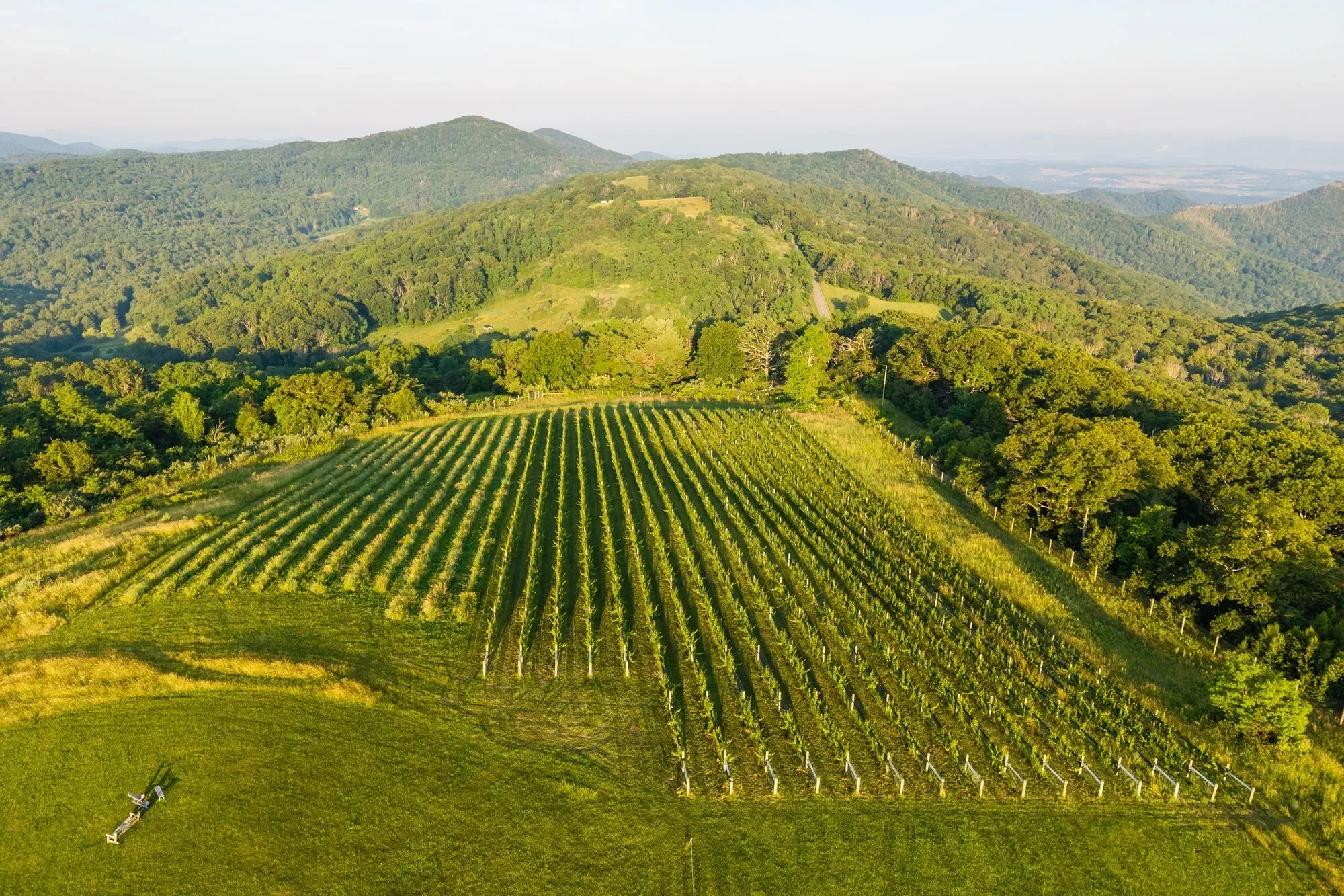 24981 Blue Ridge Parkway, Vesuvius, VA 22032, Vesuvius, Virginia, United States. - Photo 49