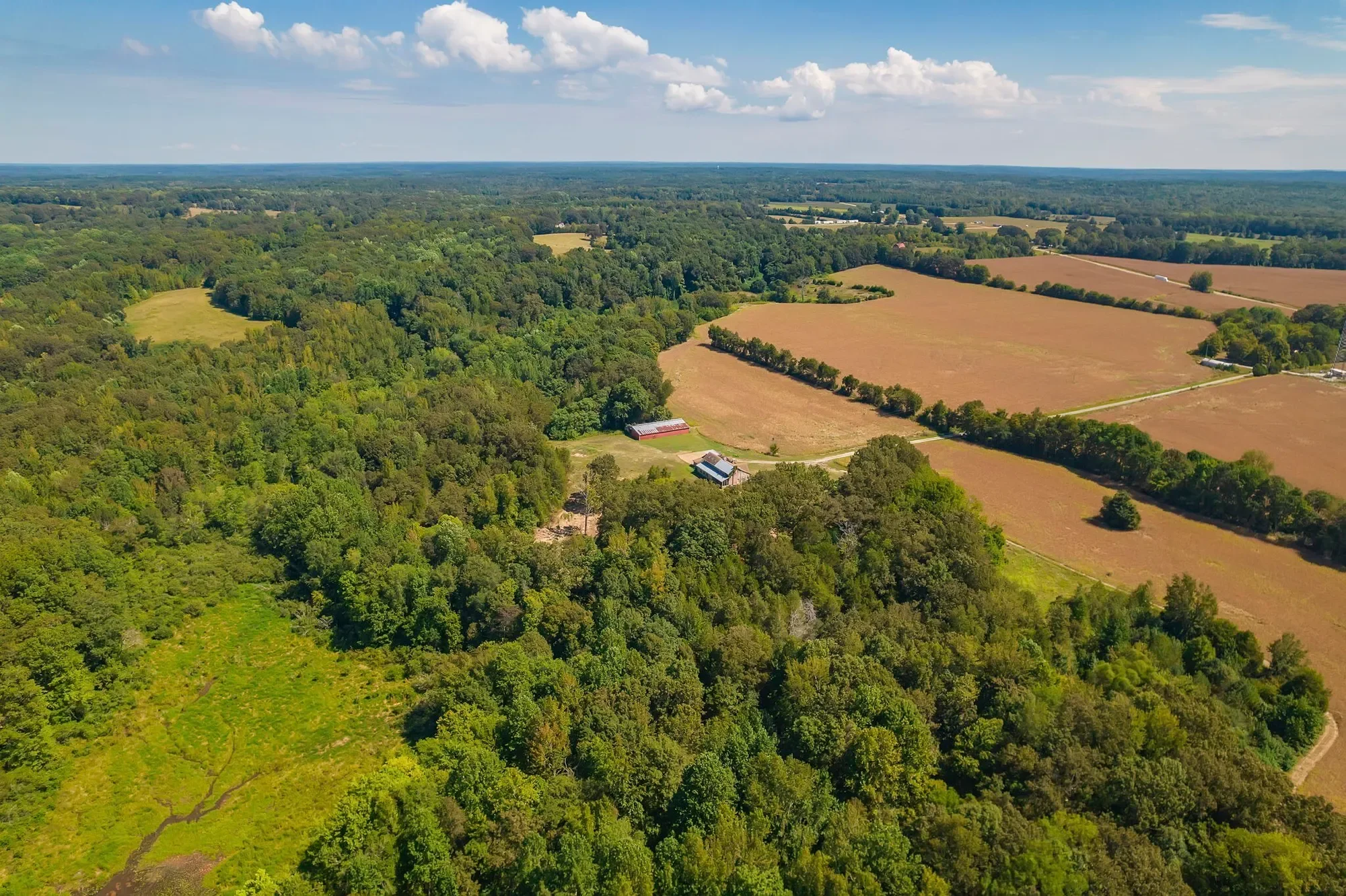 290 Leeford Ln , Cedar Grove, TN 38321, Cedar Grove, Tennessee, United States. - Photo 1