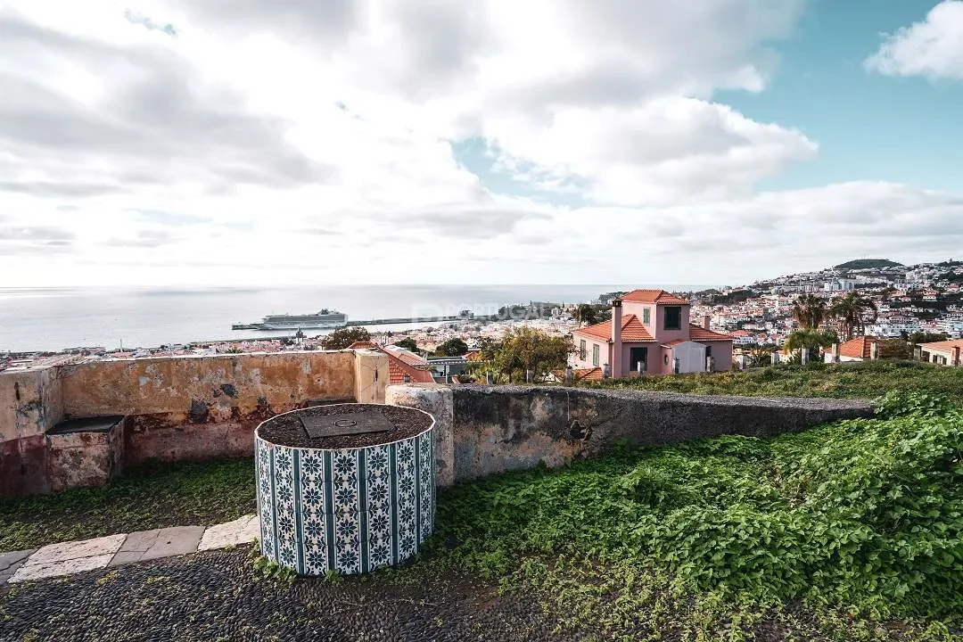 Funchal, Madeira, Funchal, Se, Madeira, Portugal. - Photo 27