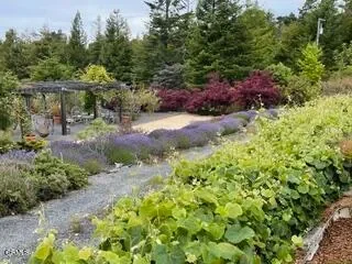 40811 Eureka Hill Road, Point Arena, California, United States. - Photo 30