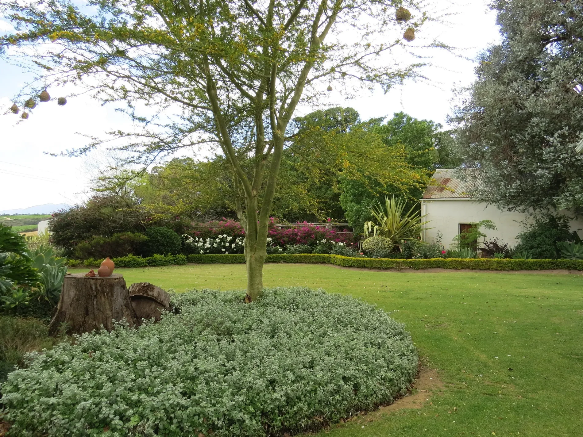 Exterior photo 6