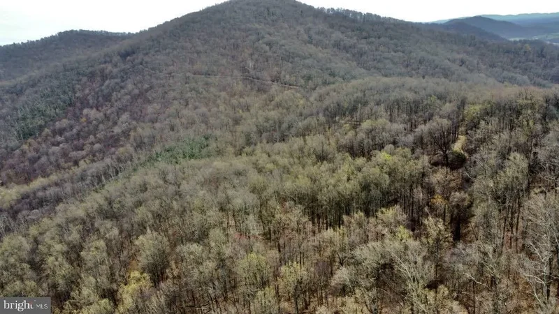 Quaker Run Road, Madison, VA 22727, Graves Mill, Virginia, United States. - Photo 7