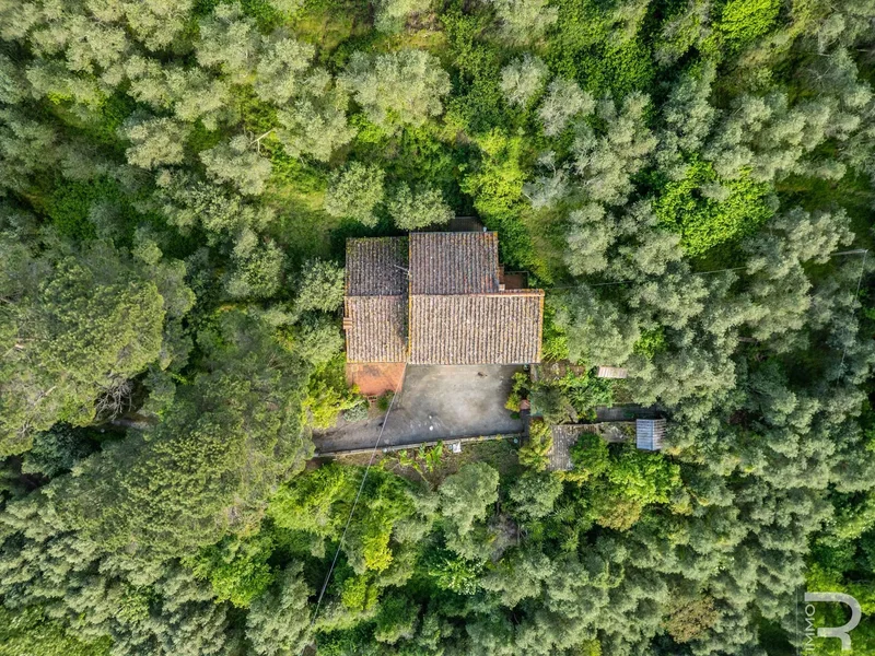 56011 La Pieve, Province of Pisa, Italy, La Pieve, Tuscany, Italy. - Photo 14