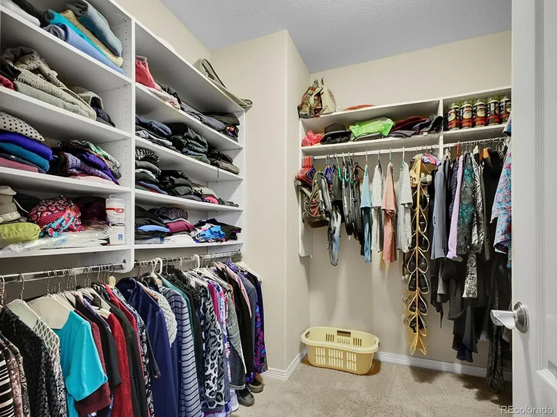 10432 Willowwisp Way, Highlands Ranch, Colorado, United States. - Photo 27