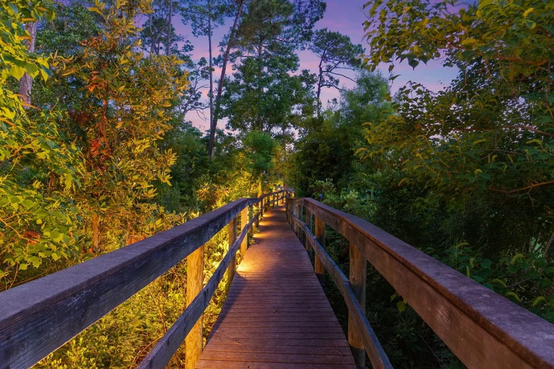 Destin, Florida, United States. - Photo 90