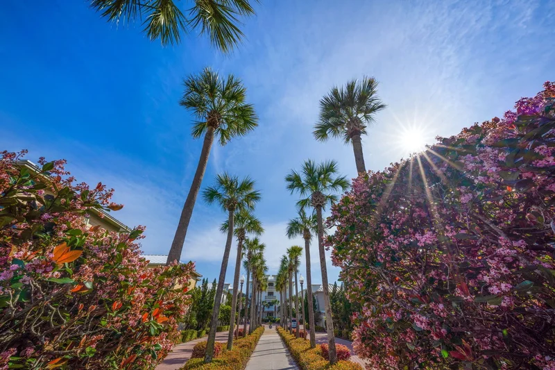 Rosemary Beach, Florida, United States. - Photo 64