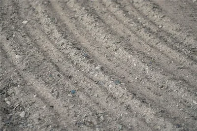 Thumbnail 15