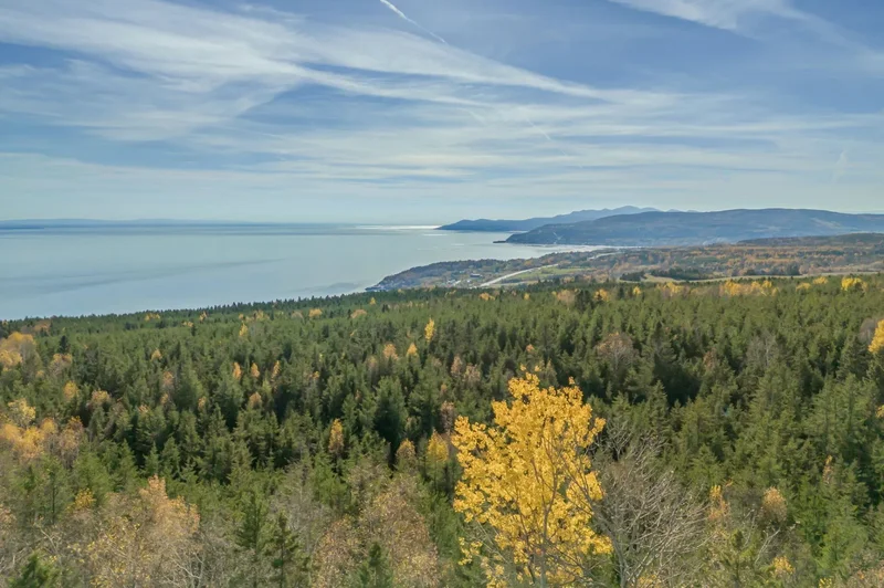 255 Rue Marie-Rose, La Malbaie, Quebec, Canada. - Photo 57
