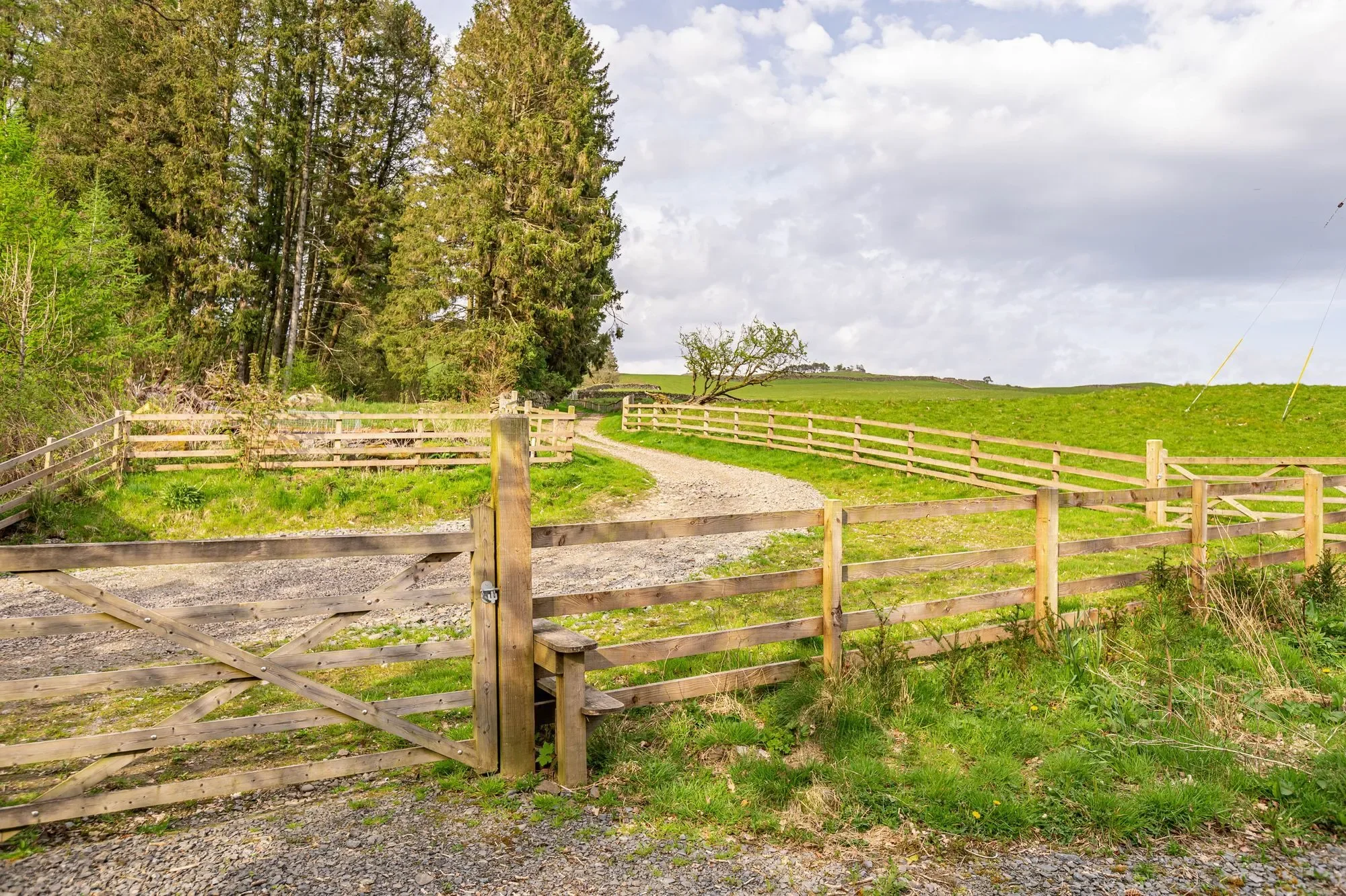 Moniaive, Thornhill, Thornhill, Scotland, United Kingdom. - Photo 16