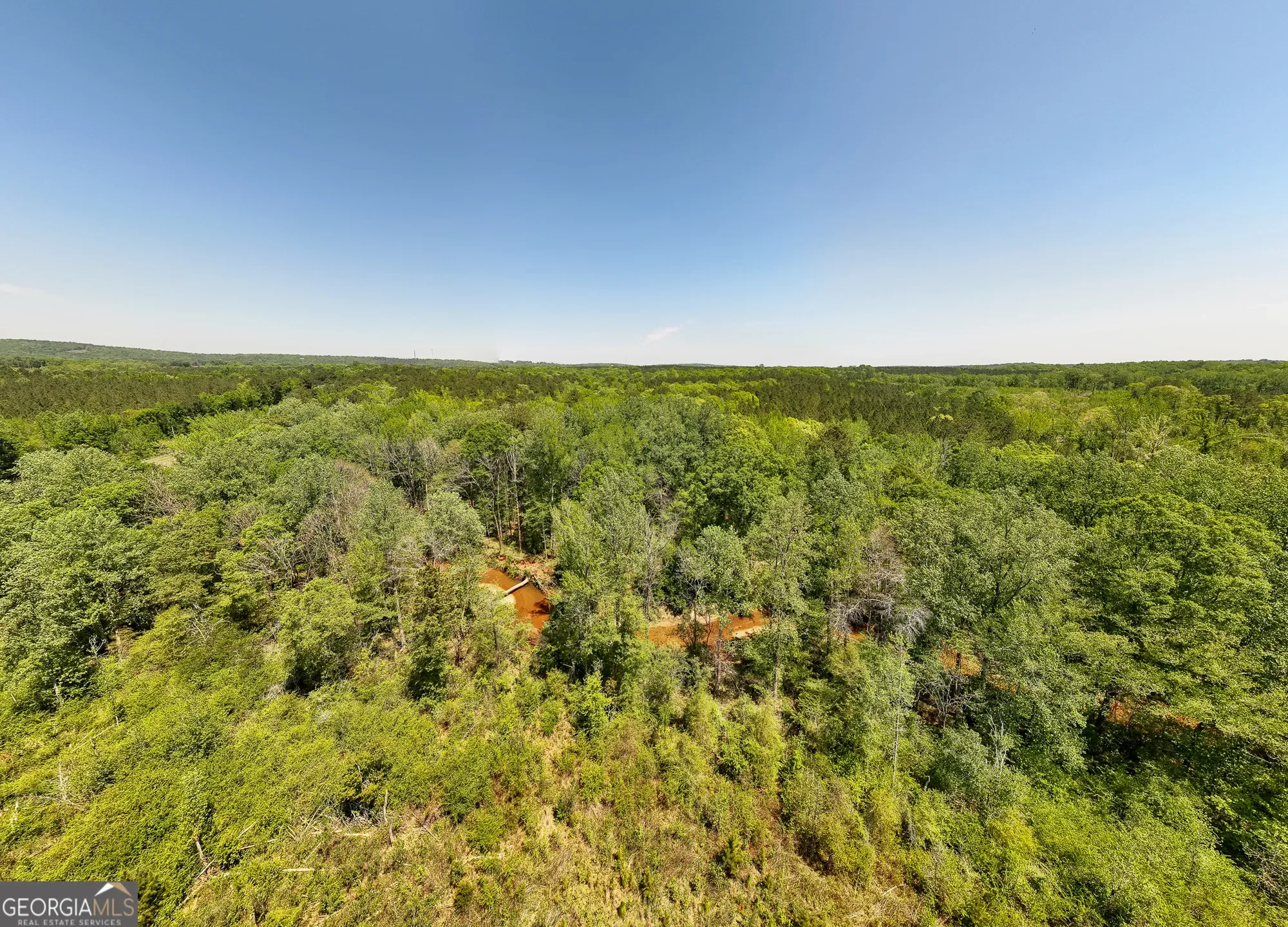 Shiloh, Georgia, United States. - Photo 25