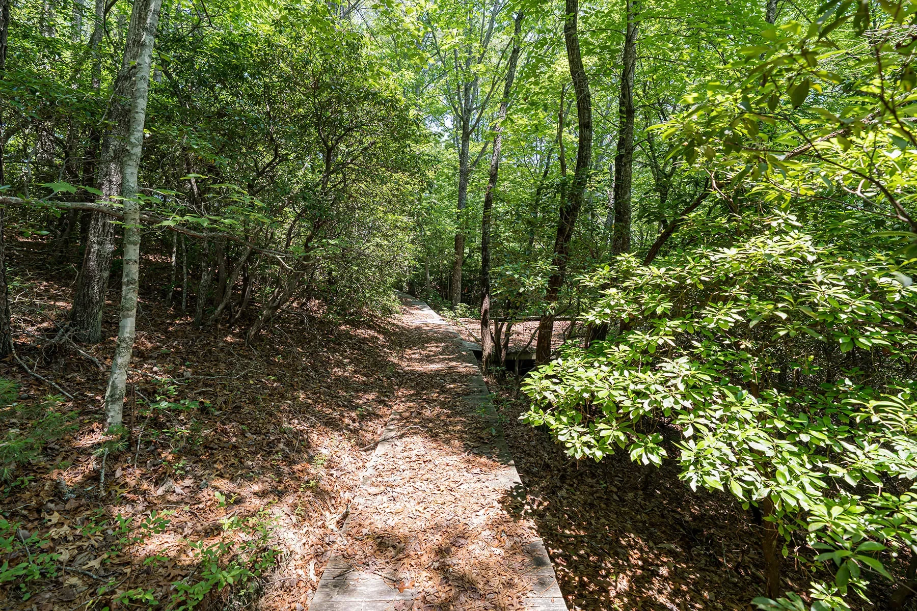 1000 Sutton Creek Road, Pisgah Forest, NC 28768, Mills River, North Carolina, United States. - Photo 19