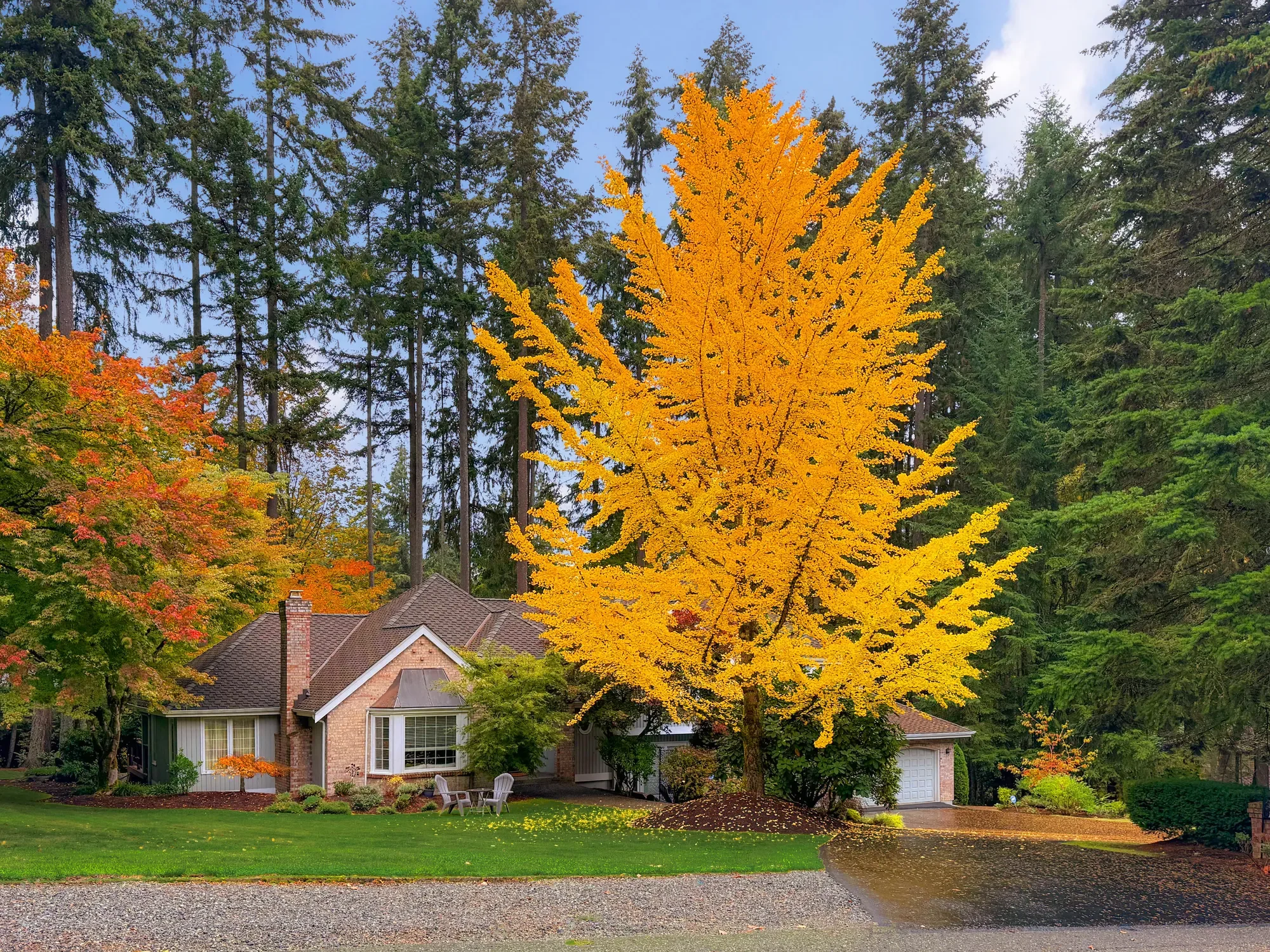 16424 NE 169th Place , Woodinville, WA 98072, Cottage Lake, Washington, United States. - Photo 39