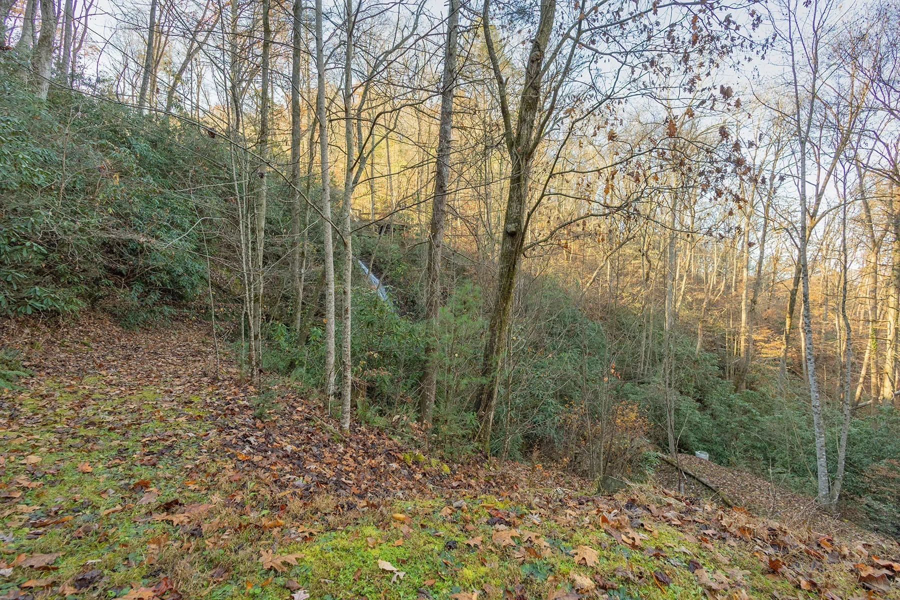 85 Brown Lane, Marble, NC 28905, Marble, North Carolina, United States. - Photo 23
