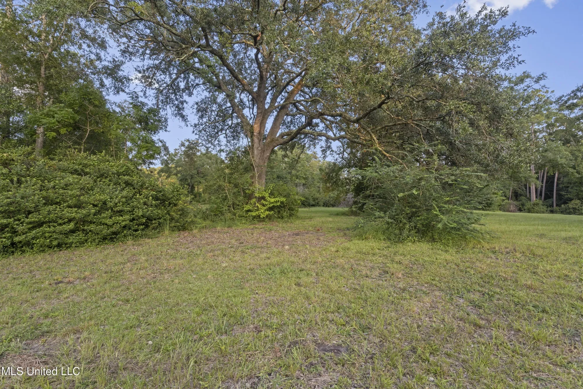 8.13 Acres Dixie Street, Ocean Springs, MS 39564, Ocean Springs, Mississippi, United States. - Photo 16