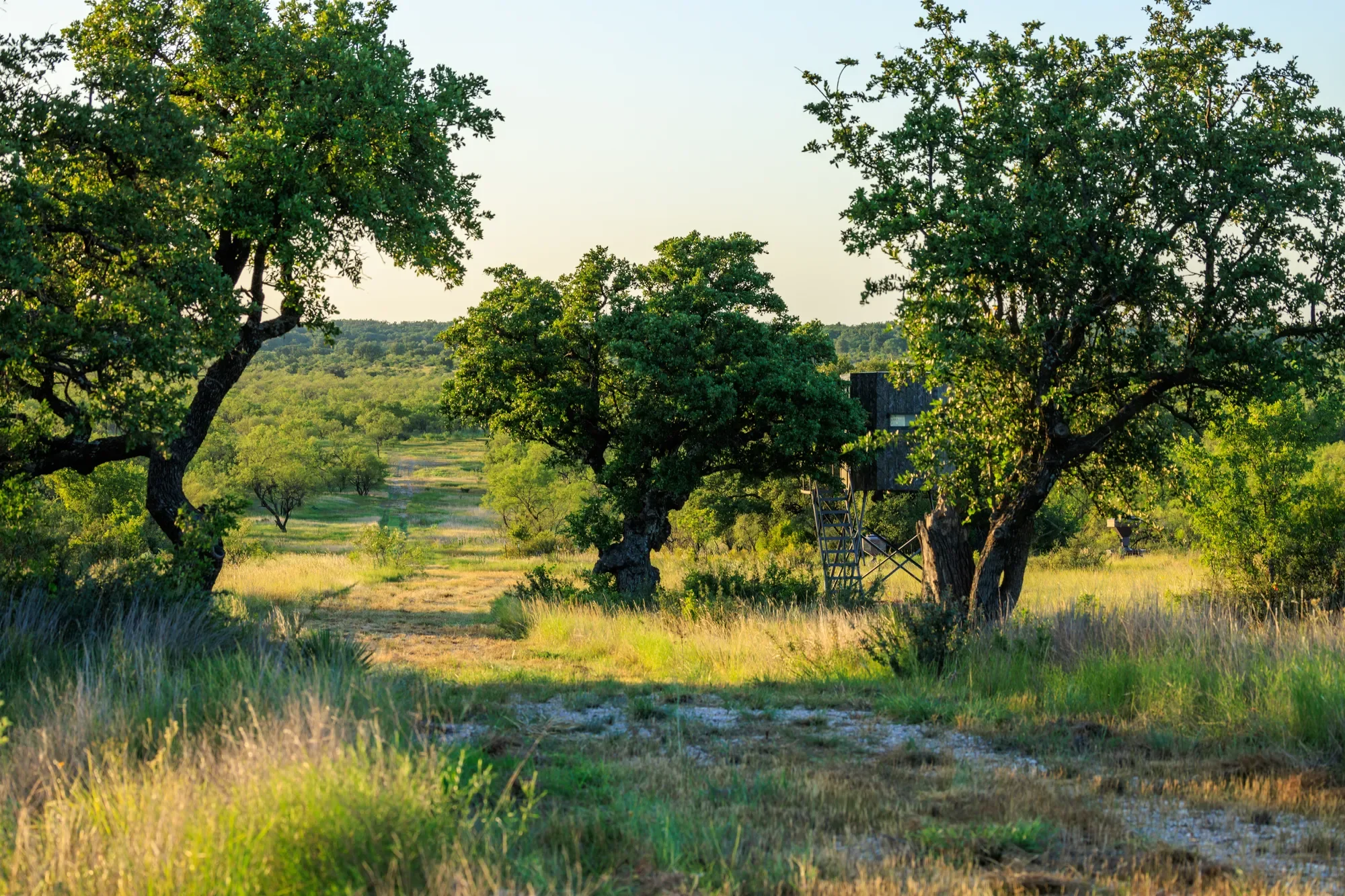 Brady Creek Ranch CR 3388, Melvin, TX 76858, Melvin, Texas, United States. - Photo 28