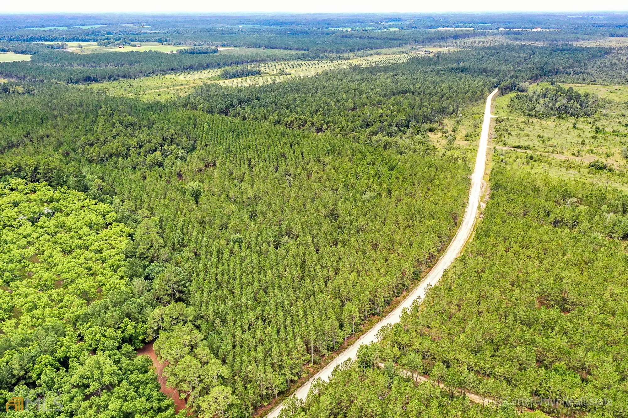 0 Miller Hayes Road, Waycross, GA 31503, Waycross, Georgia, United States. - Photo 16