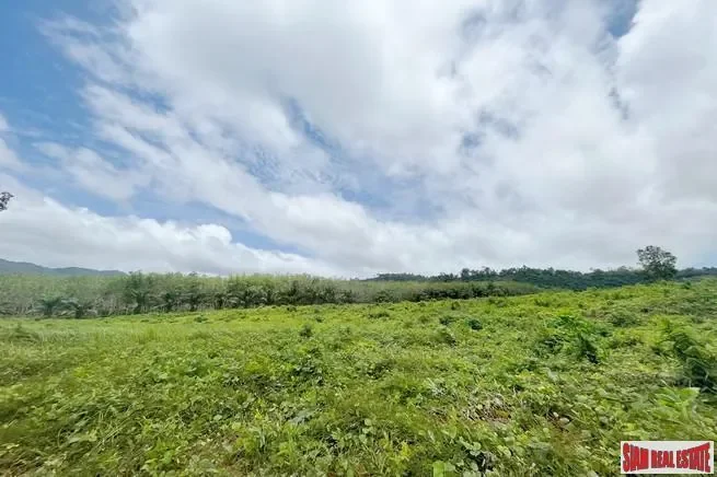 Phang Nga,, Khuekkhak, Phang-nga, Thailand. - Photo 10