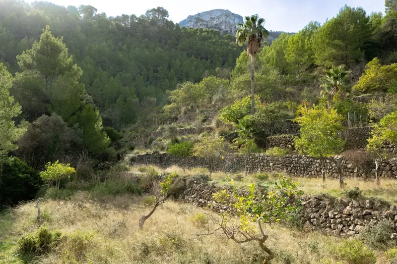 Deia, Balearic Islands, Spain. - Photo 32