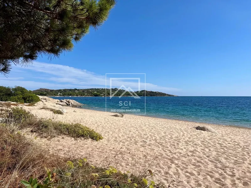 San-Gavino-di-Carbini, Corsica, France. - Photo 6