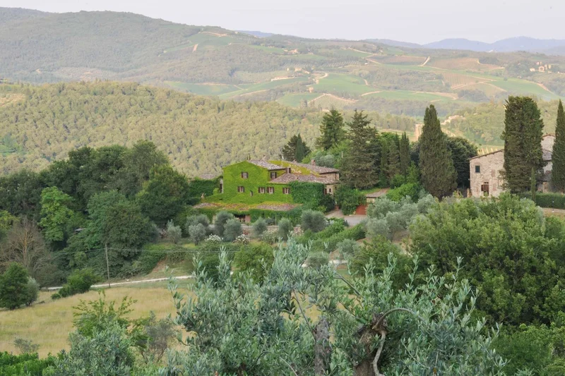TUSCANY, Panzano, Tuscany, Italy. - Photo 14