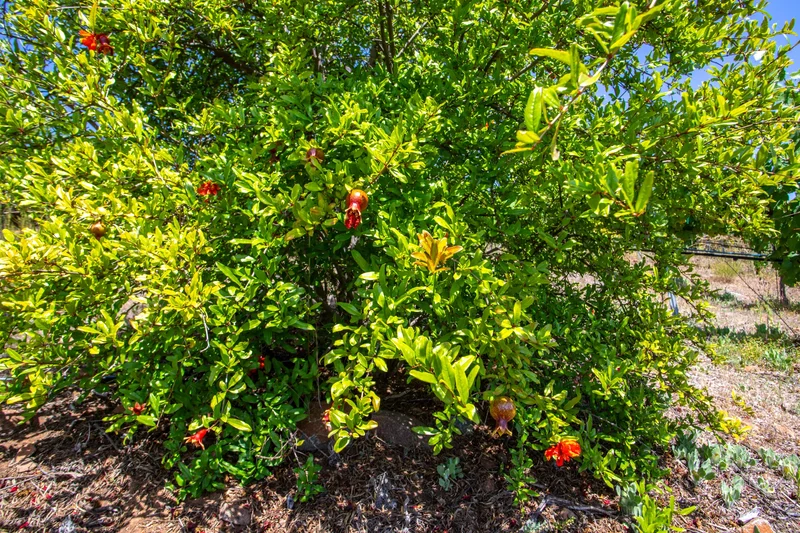 0 Via Herradura , Murrieta, CA 92562, Murrieta, California, United States. - Photo 6
