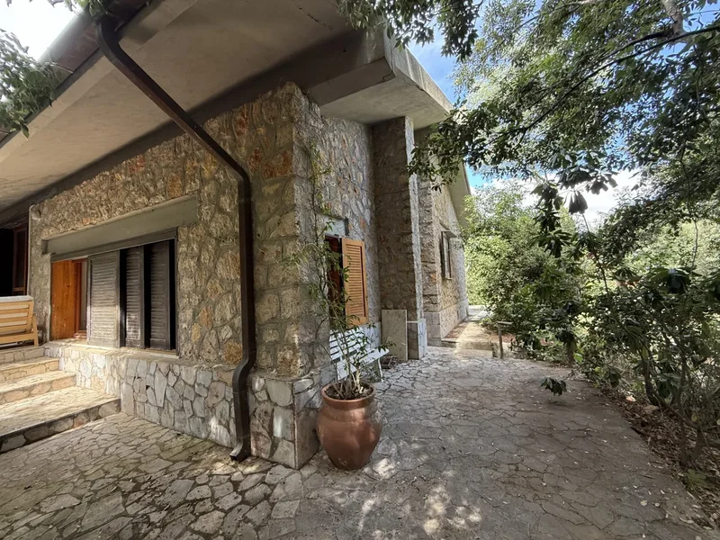 Via del Rosmarino, Ansedonia, Tuscany, Italy. - Photo 13