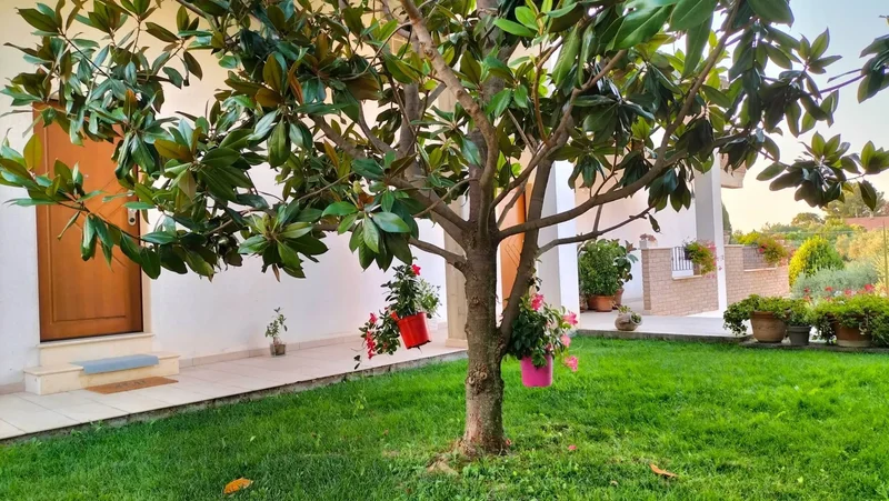 Contrada Collevento, Santa Venere, Abruzzo, Italy. - Photo 18