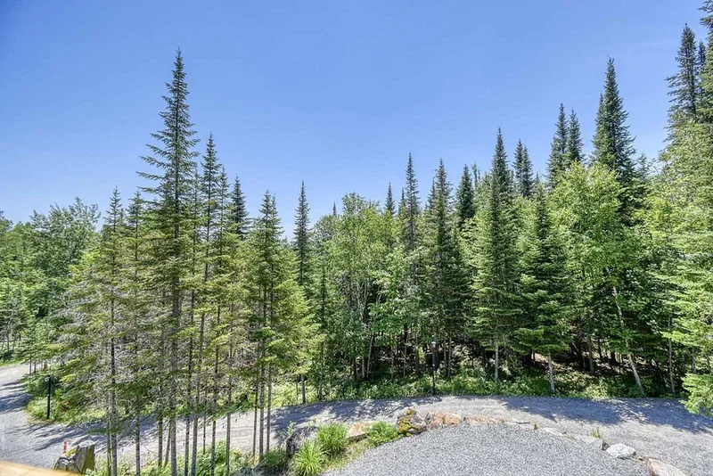 130 Ch. Bousquet, Mont-Tremblant, Quebec, Canada. - Photo 67