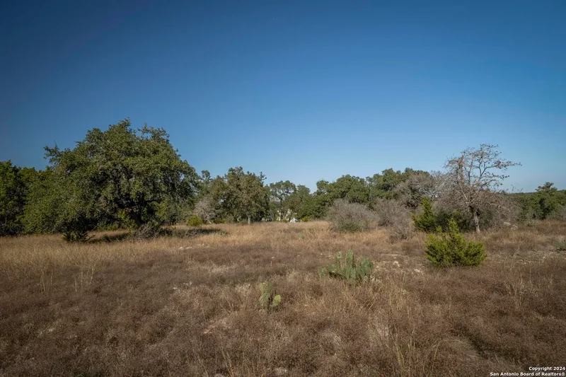 6511 FM 311, Spring Branch, TX 78070, Spring Branch, Texas, United States. - Photo 35
