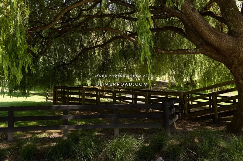 Pengary Lane, Pyes Pa, Tauranga 3112, New Zealand, Tauranga, Bay of Plenty, New Zealand. - Photo 7