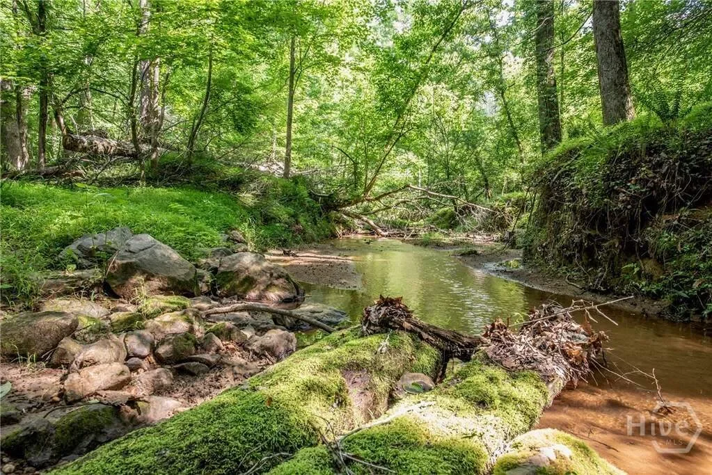 Madison, Georgia, United States. - Photo 34