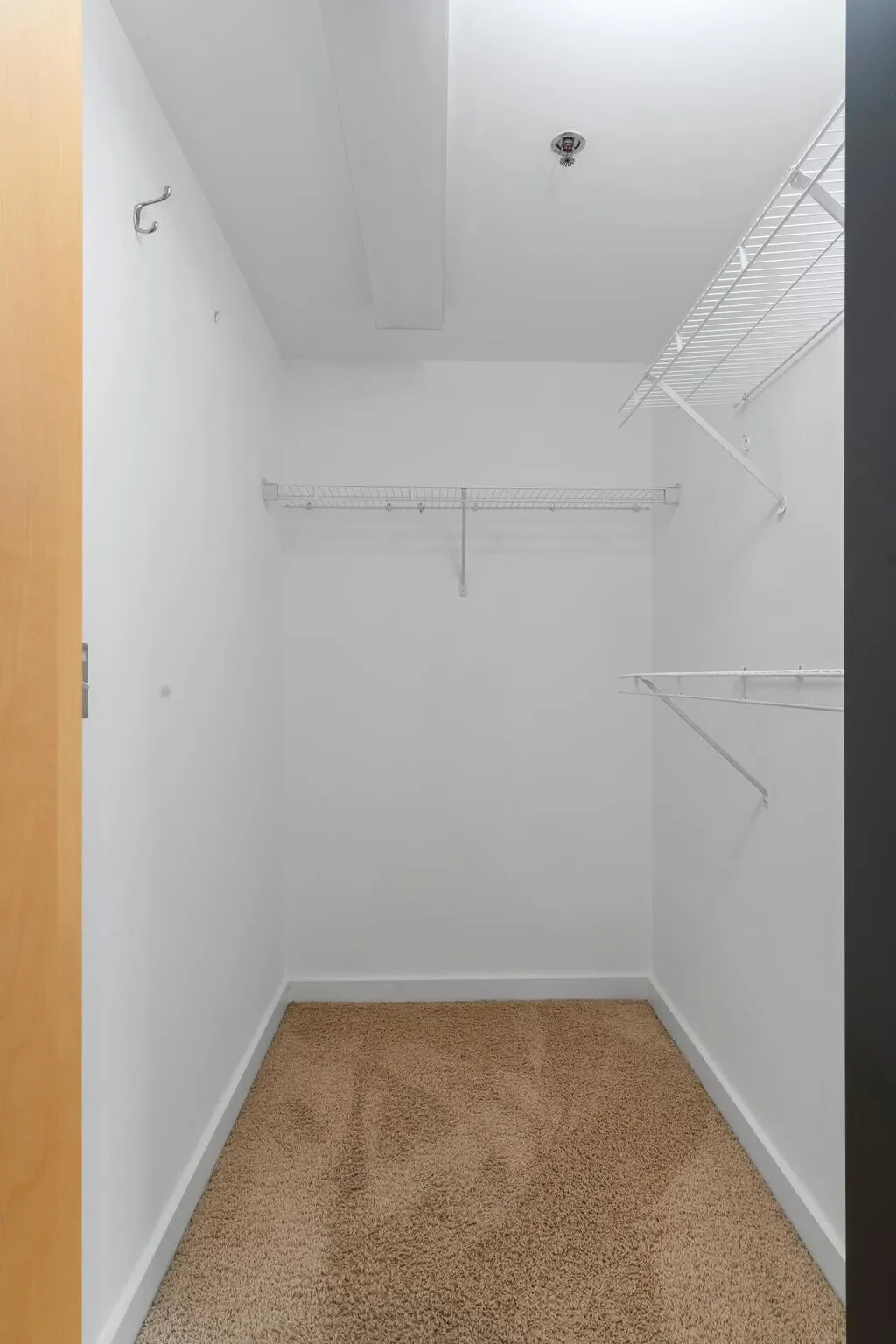 Gallery photo 11